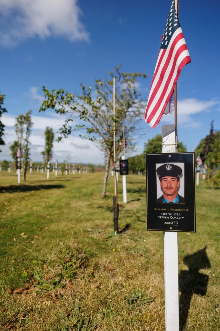 Photo of Steven Coakley's tree in Ringfinnan Garden of Remembrance