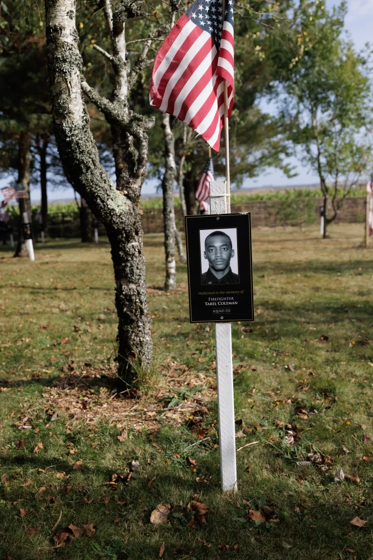 Photo of Tarel Coleman's tree in Ringfinnan Garden of Remembrance