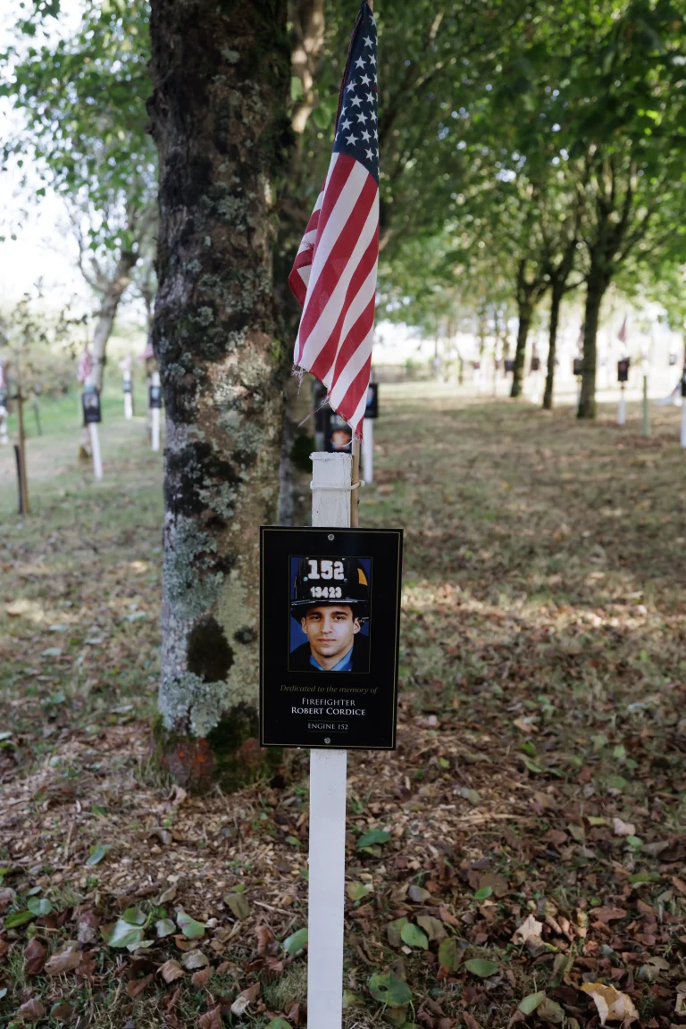Photo of Robert Cordice's tree in Ringfinnan Garden of Remembrance