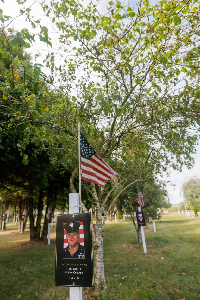 Photo of Ruben Correa's tree in Ringfinnan Garden of Remembrance