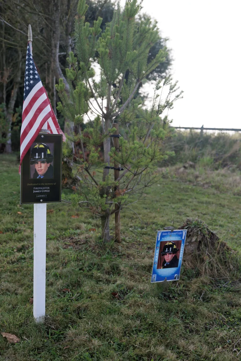 Photo of James Coyle's tree in Ringfinnan Garden of Remembrance