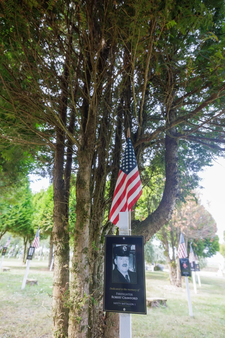 Photo of Robert Crawford's tree in Ringfinnan Garden of Remembrance