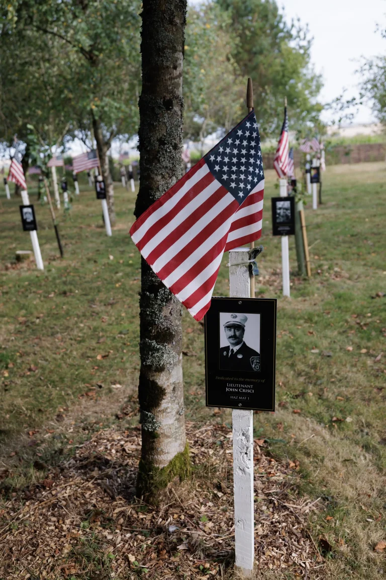 Photo of John Crisci's tree in Ringfinnan Garden of Remembrance