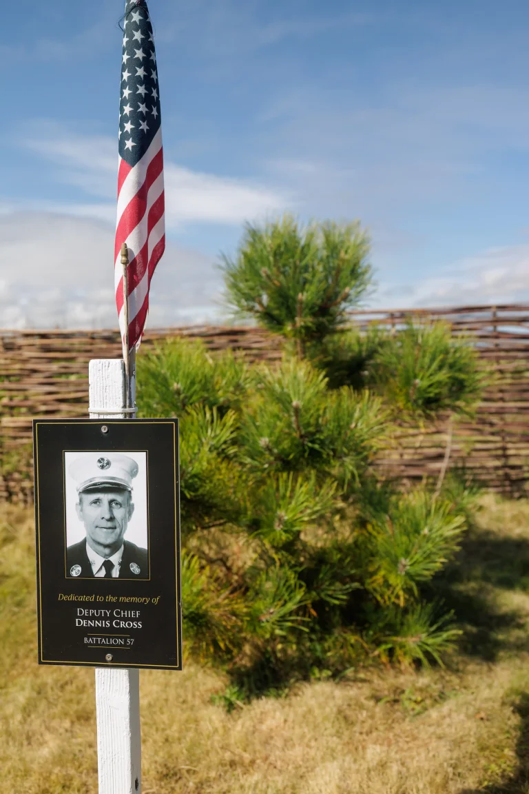 Photo of Dennis Cross's tree in Ringfinnan Garden of Remembrance