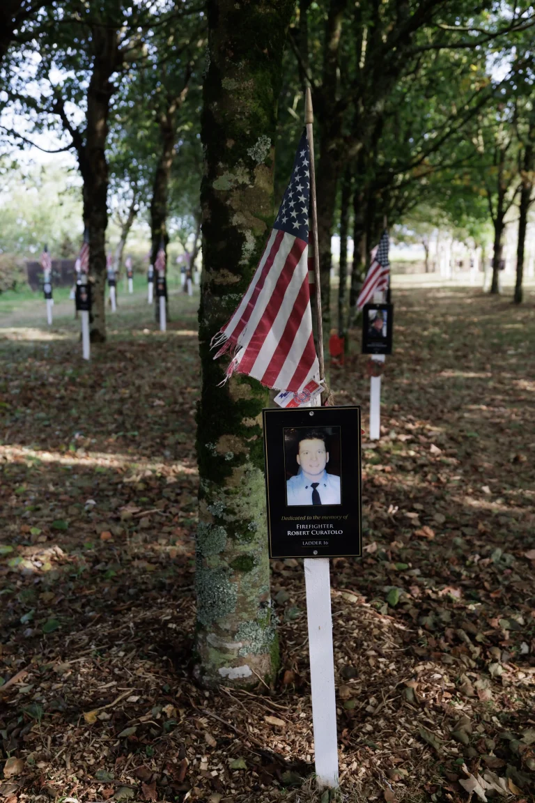 Photo of Robert Curatolo's tree in Ringfinnan Garden of Remembrance