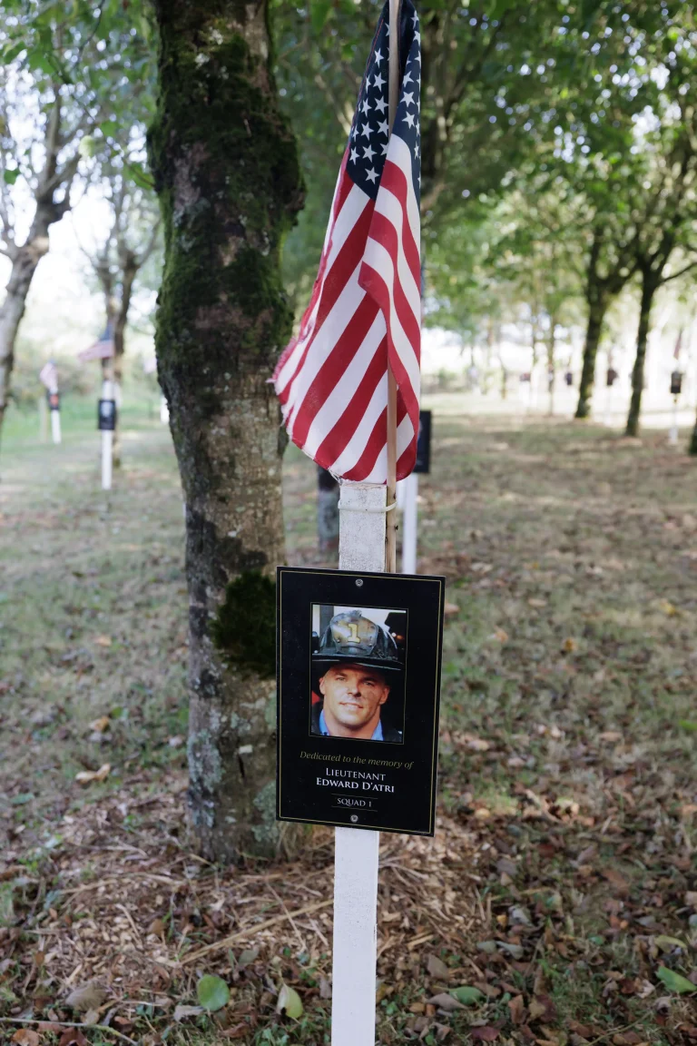 Photo of Edward D'atri's tree in Ringfinnan Garden of Remembrance