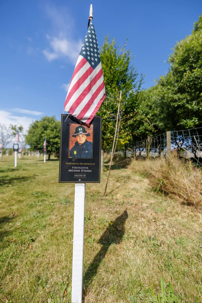 Photo of Michael D'Auria's tree in Ringfinnan Garden of Remembrance