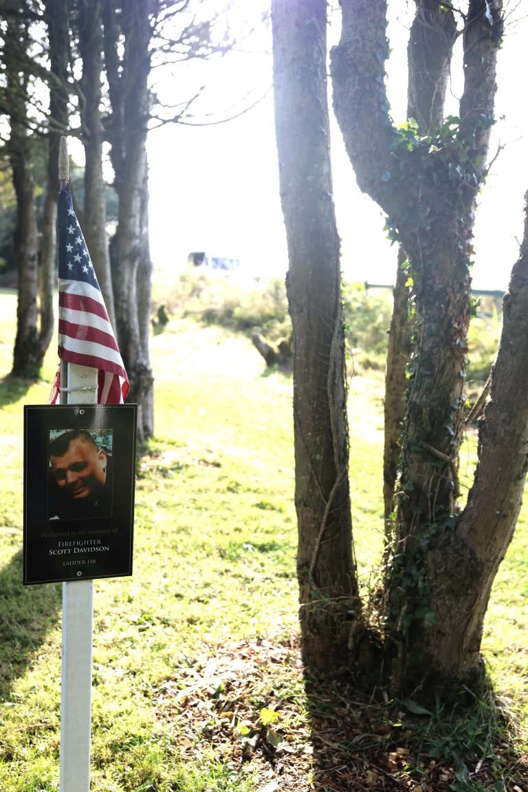 Photo of Scott Davidson's tree in Ringfinnan Garden of Remembrance