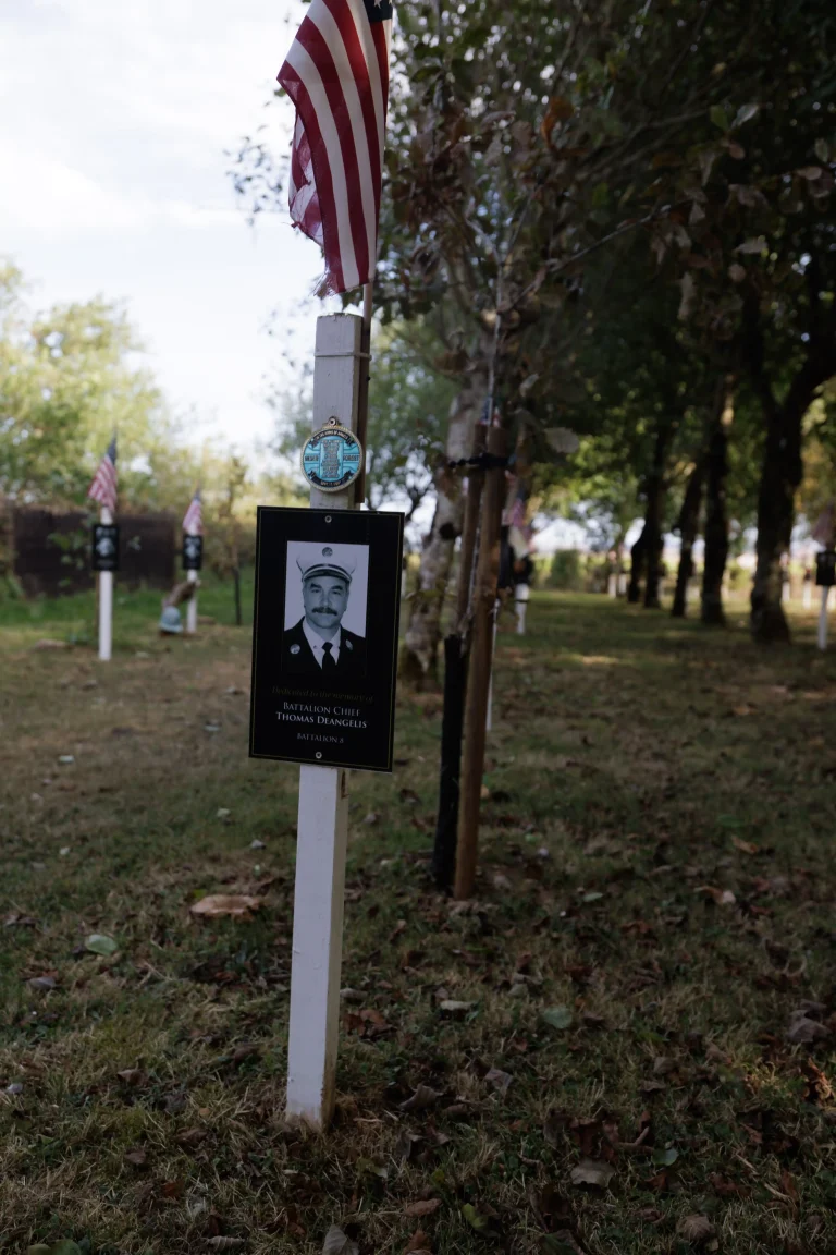 Photo of Thomas Deangelis's tree in Ringfinnan Garden of Remembrance