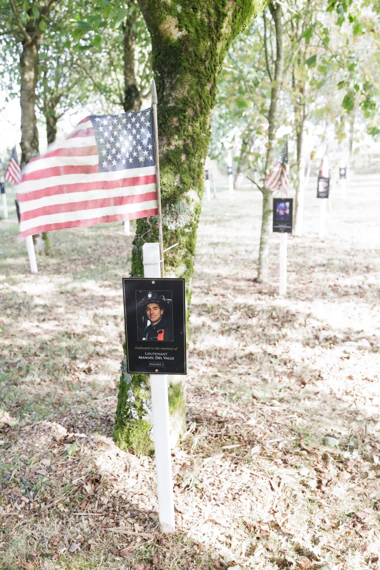 Photo of Manuel Del Valle's tree in Ringfinnan Garden of Remembrance
