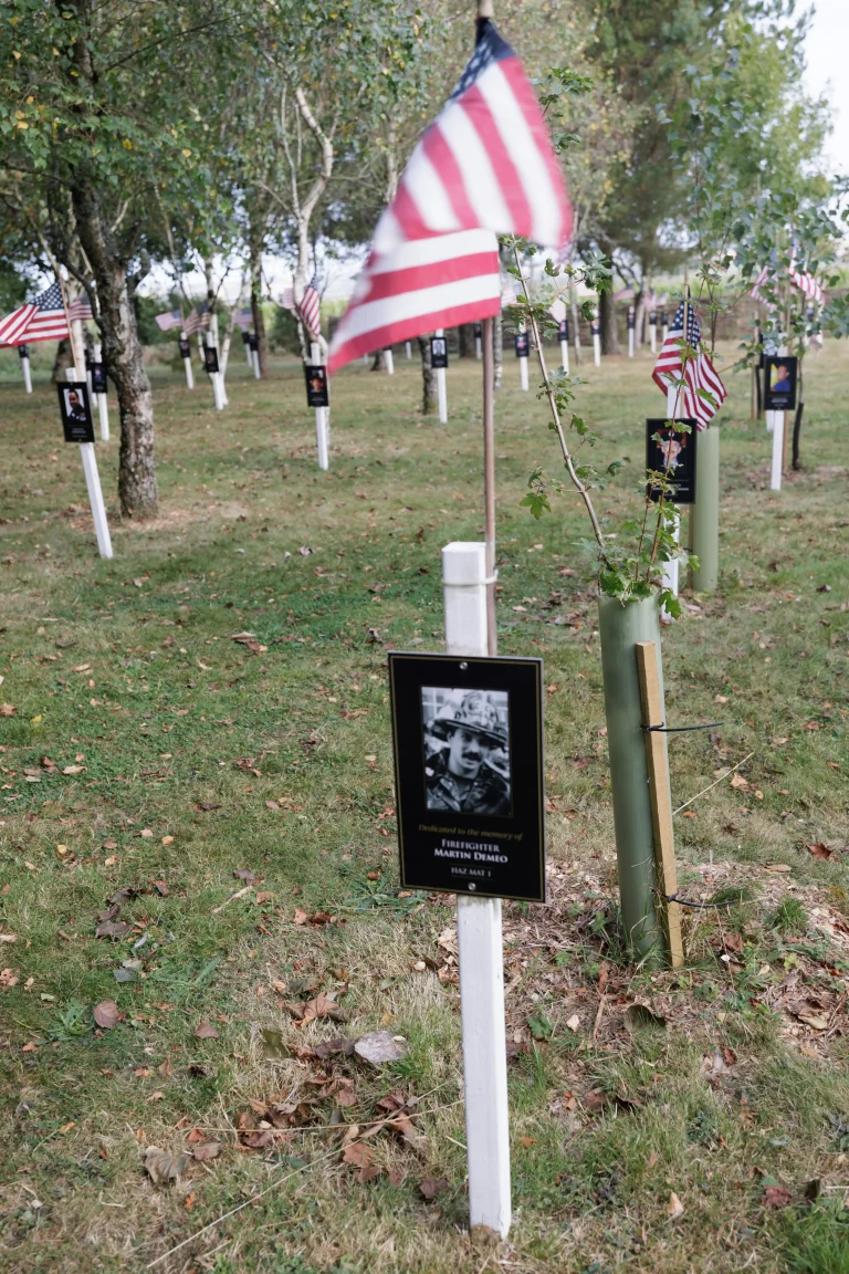 Photo of Martin Demeo's tree in Ringfinnan Garden of Remembrance
