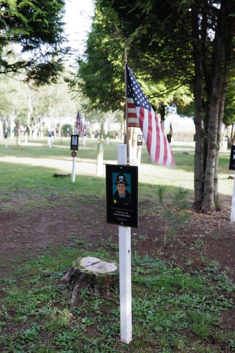 Photo of David Derubbio's tree in Ringfinnan Garden of Remembrance