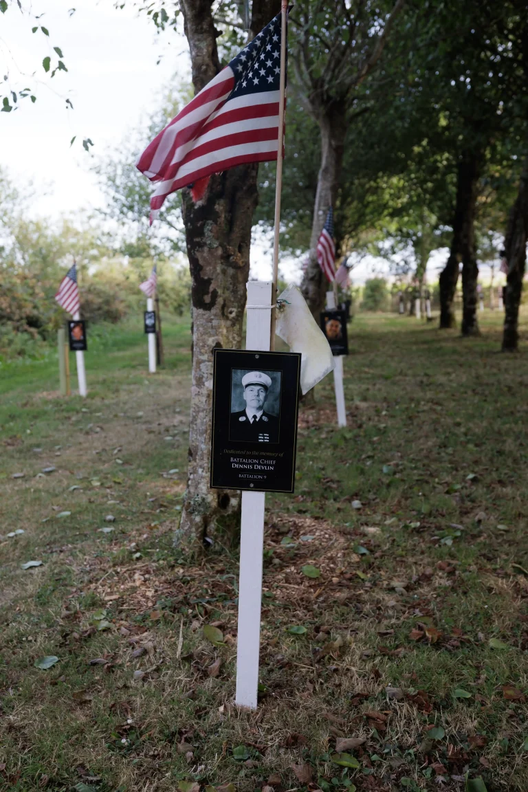 Photo of Dennis Devlin's tree in Ringfinnan Garden of Remembrance