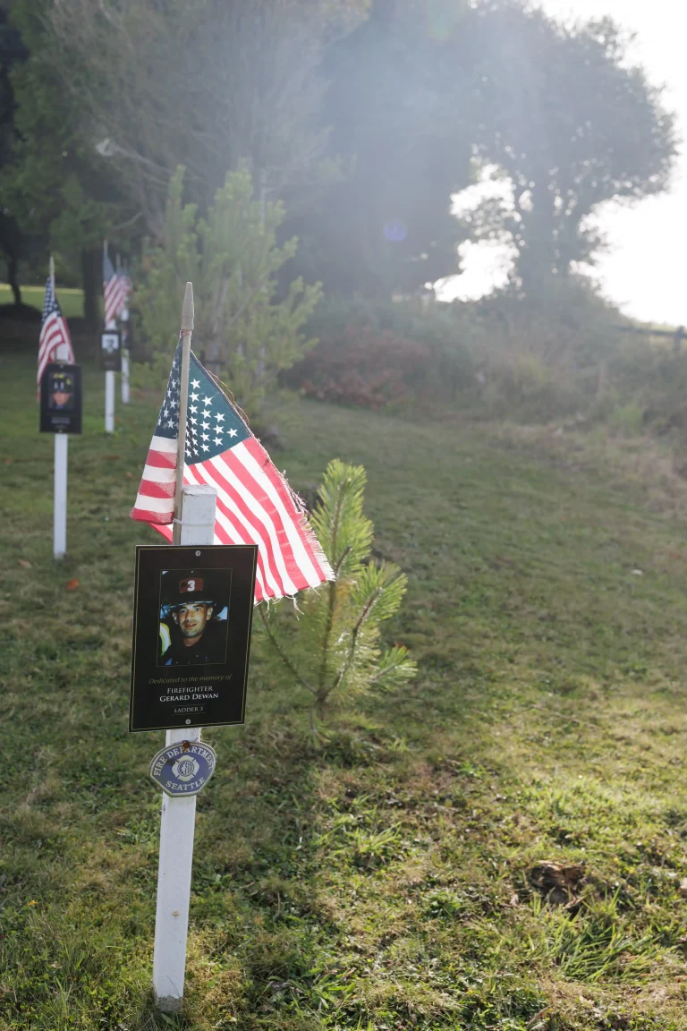 Photo of Gerard Dewan's tree in Ringfinnan Garden of Remembrance