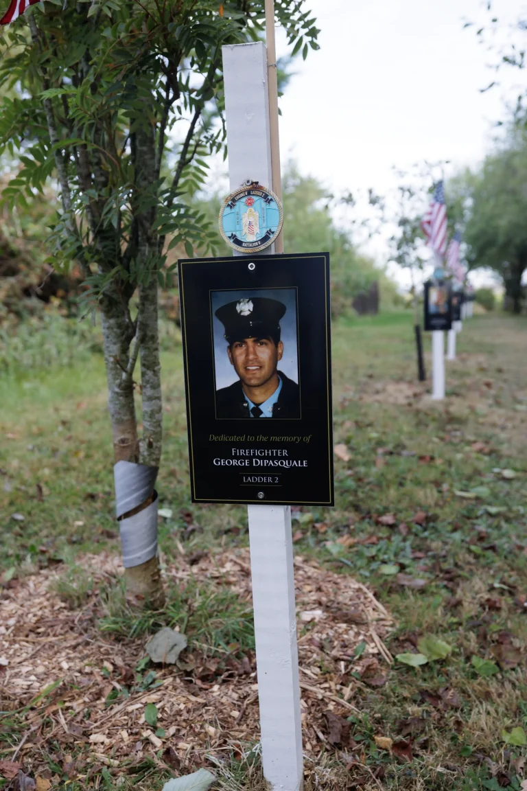 Photo of George Dipasquale's tree in Ringfinnan Garden of Remembrance