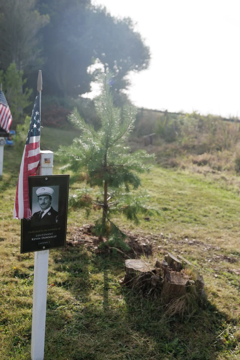 Photo of Kevin Donnelly's tree in Ringfinnan Garden of Remembrance