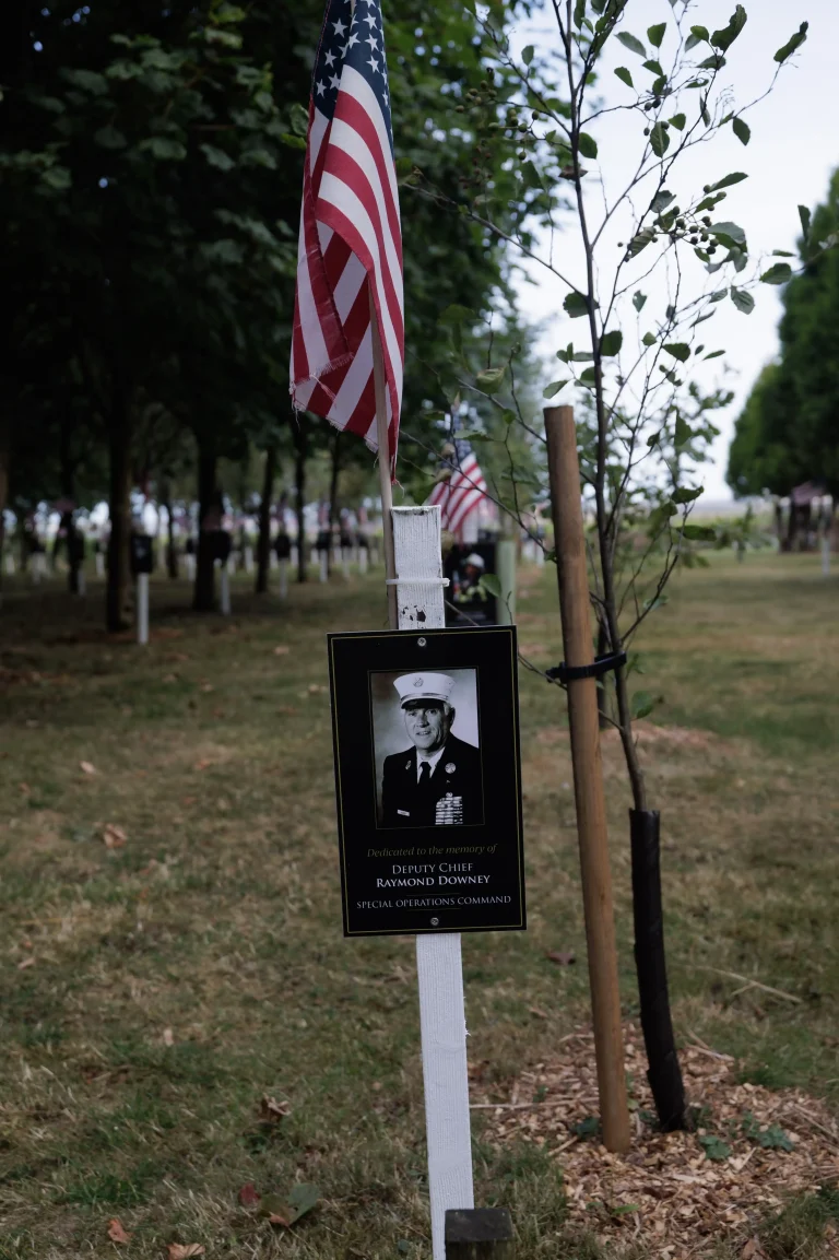 Photo of Raymond Downey's tree in Ringfinnan Garden of Remembrance