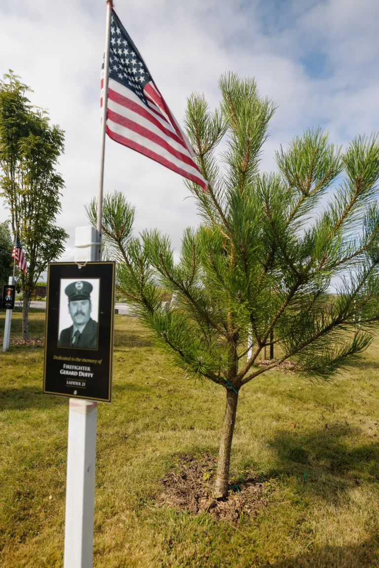 Photo of Gerard Duffy's tree in Ringfinnan Garden of Remembrance