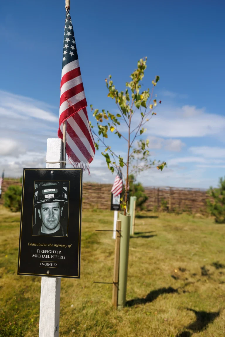 Photo of Michael Elferis's tree in Ringfinnan Garden of Remembrance