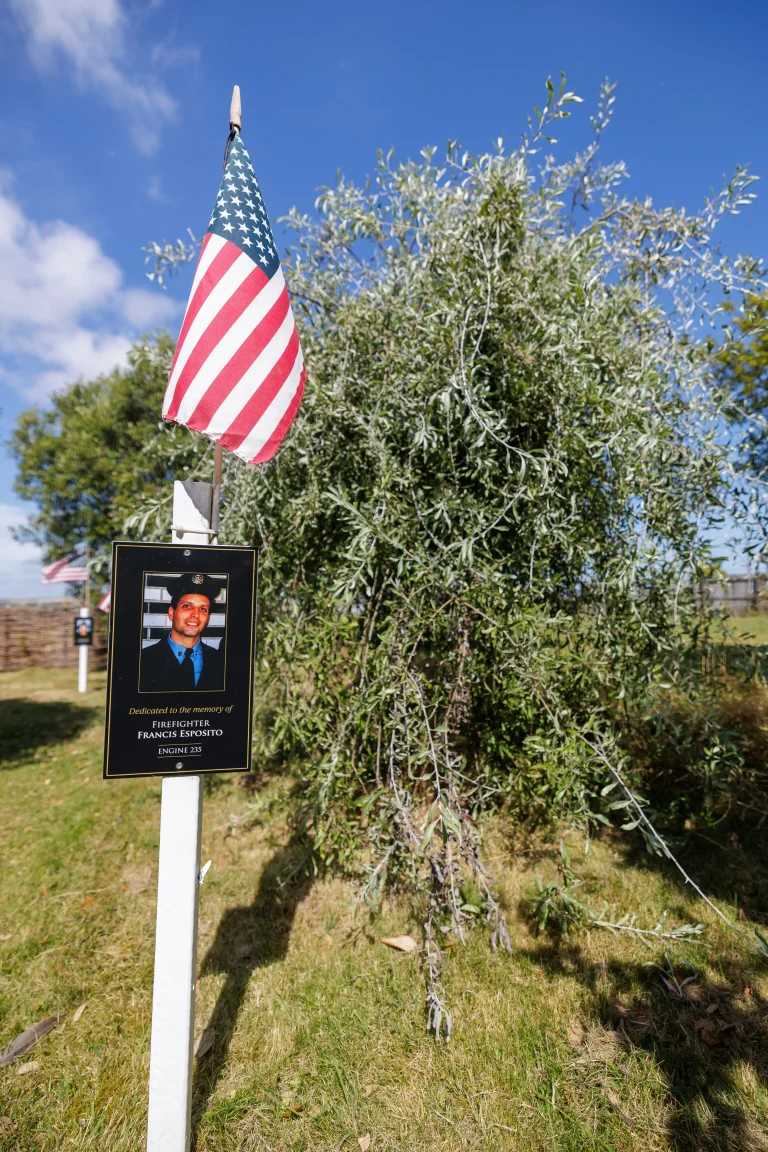 Photo of Francis Esposito's tree in Ringfinnan Garden of Remembrance