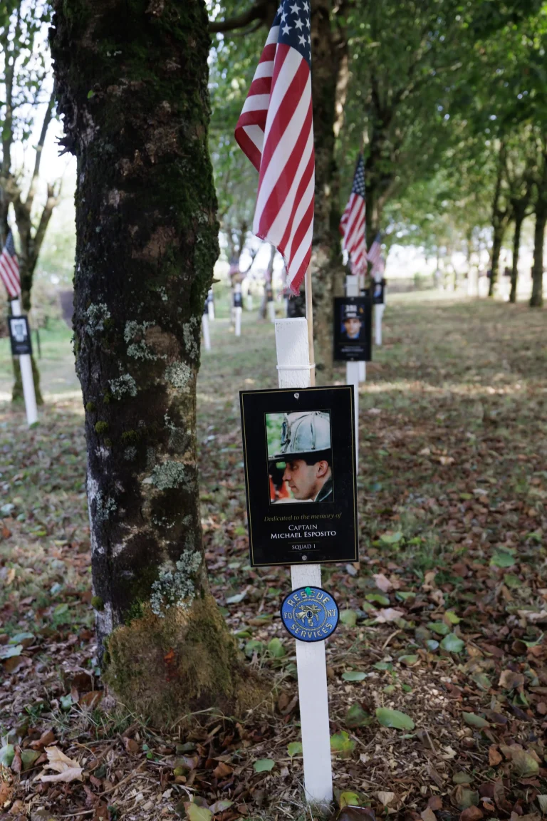 Photo of Michael Esposito's tree in Ringfinnan Garden of Remembrance