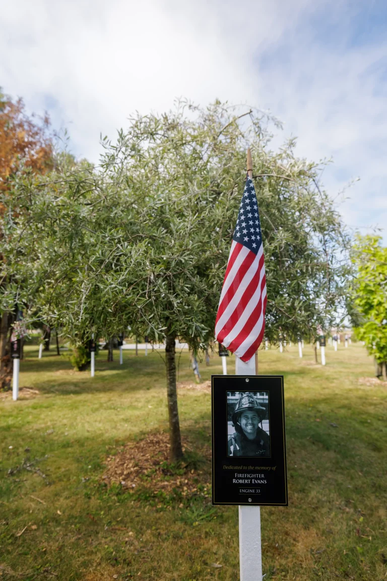 Photo of Robert Evans's tree in Ringfinnan Garden of Remembrance