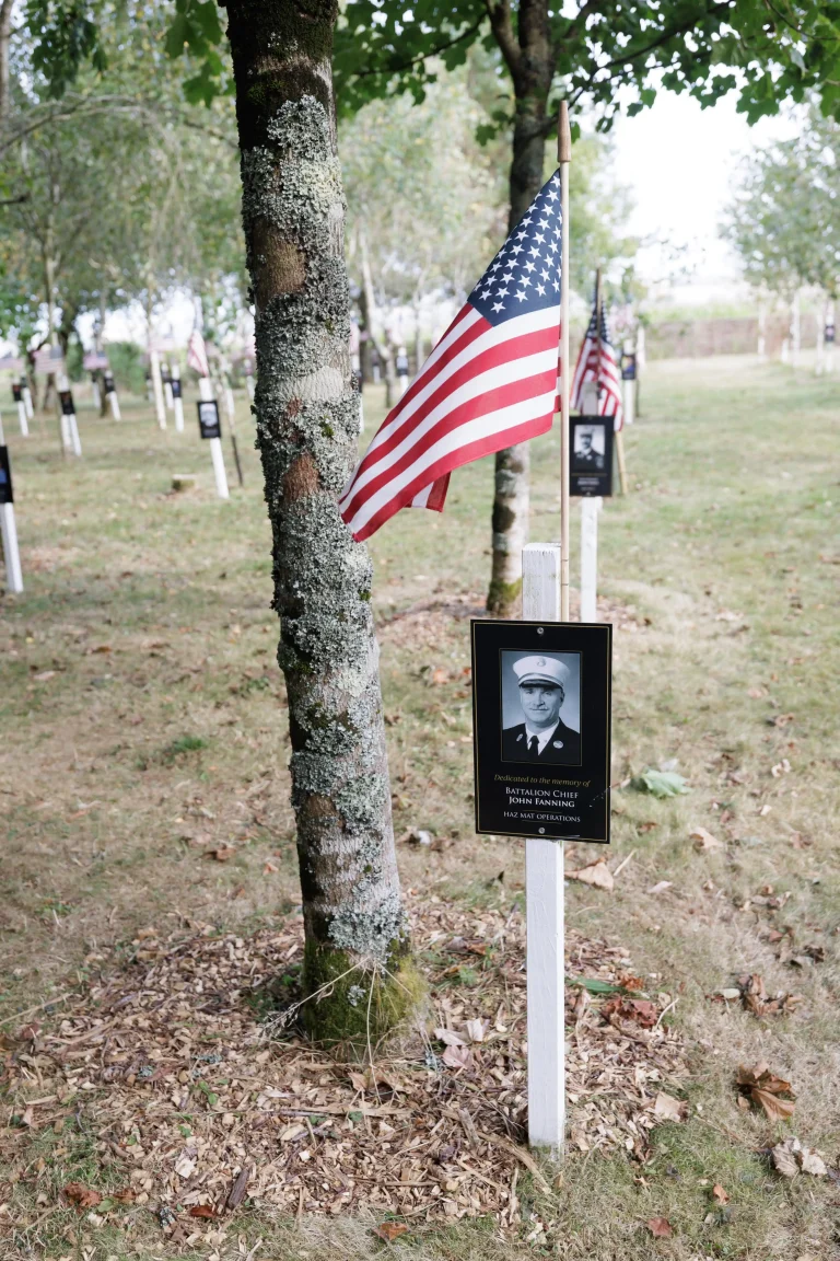 Photo of John Fanning's tree in Ringfinnan Garden of Remembrance