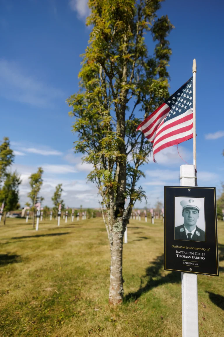 Photo of Thomas Farino's tree in Ringfinnan Garden of Remembrance