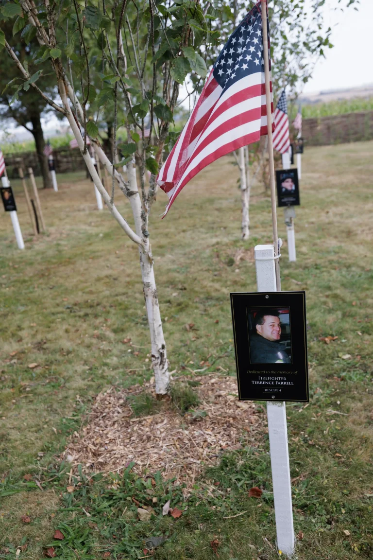 Photo of Terrence Farrell's tree in Ringfinnan Garden of Remembrance