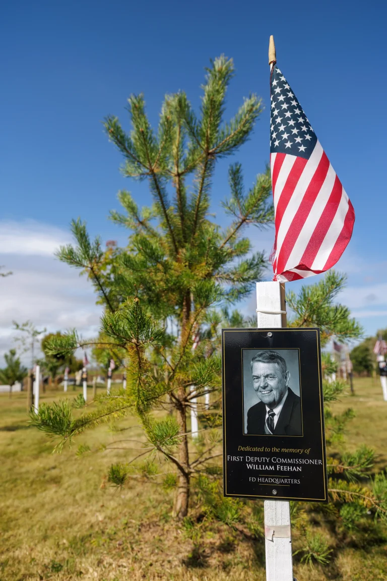 Photo of William Feehan's tree in Ringfinnan Garden of Remembrance