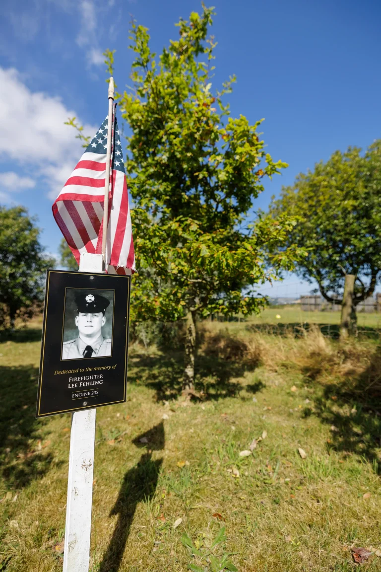 Photo of Lee Fehling's tree in Ringfinnan Garden of Remembrance