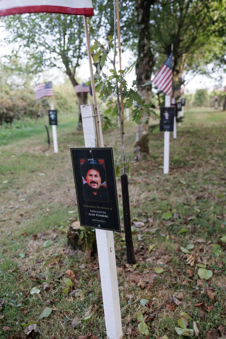 Photo of Alan Feinberg's tree in Ringfinnan Garden of Remembrance