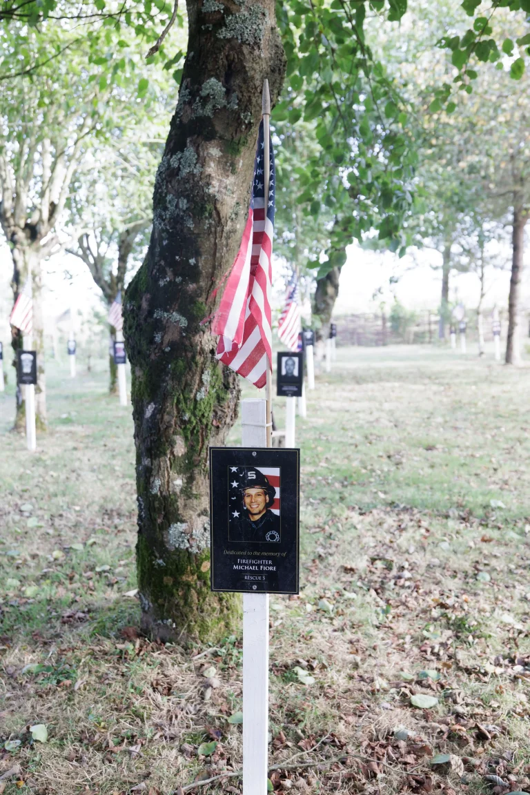 Photo of Michael Fiore's tree in Ringfinnan Garden of Remembrance