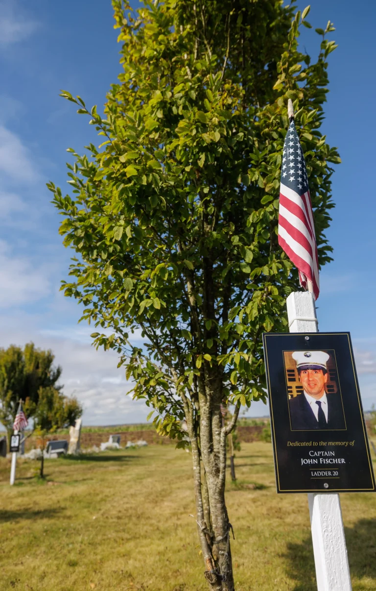 Photo of John Fischer's tree in Ringfinnan Garden of Remembrance