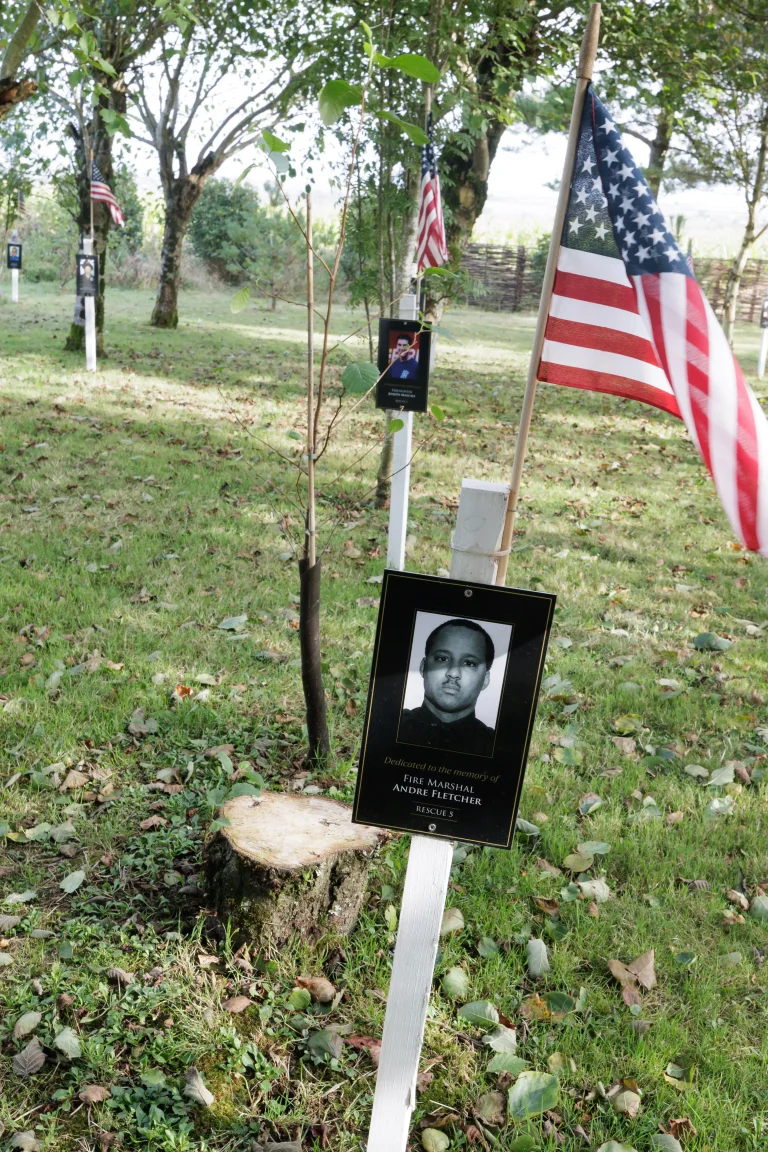 Photo of Andre Fletcher's tree in Ringfinnan Garden of Remembrance