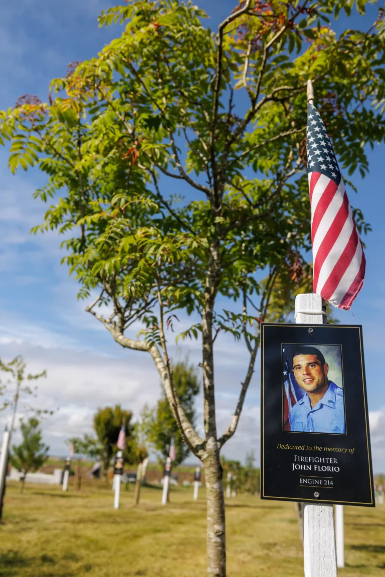 Photo of John Florio's tree in Ringfinnan Garden of Remembrance