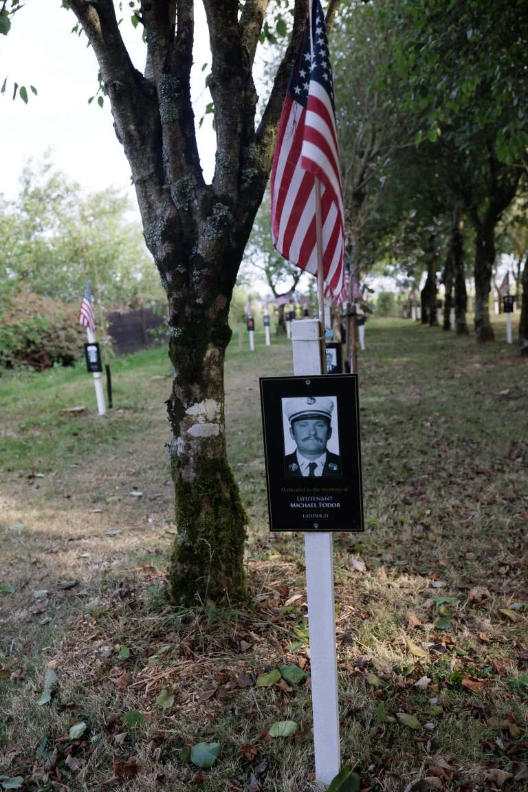 Photo of Michael Fodor's tree in Ringfinnan Garden of Remembrance