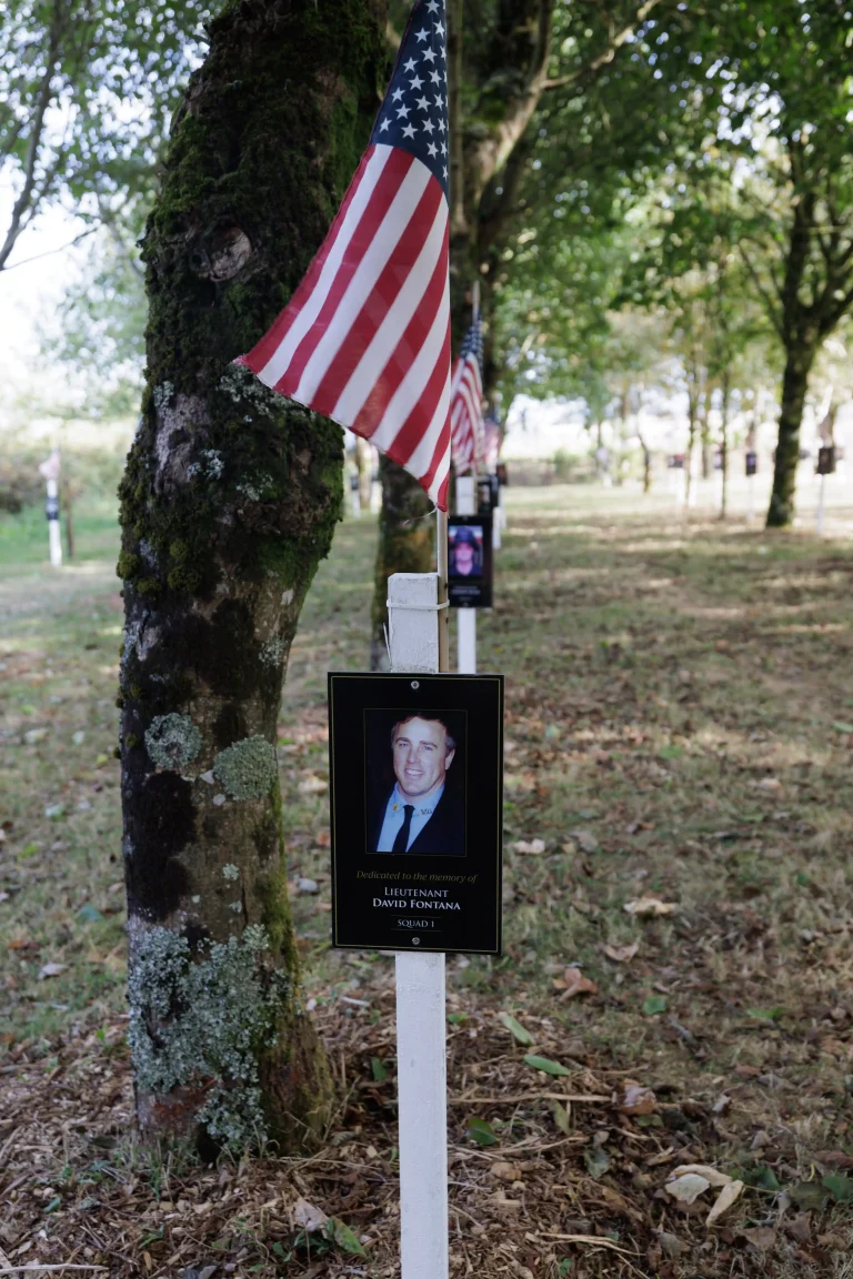 Photo of David Fontana's tree in Ringfinnan Garden of Remembrance