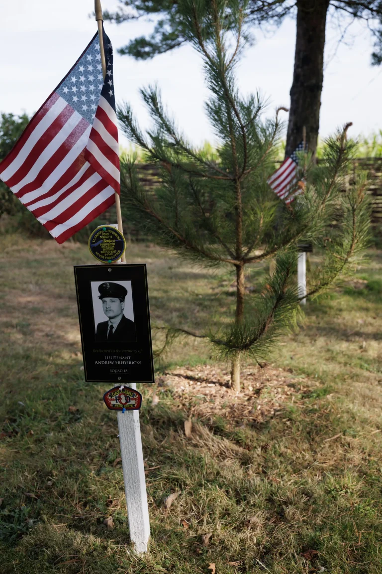 Photo of Andrew Fredericks's tree in Ringfinnan Garden of Remembrance