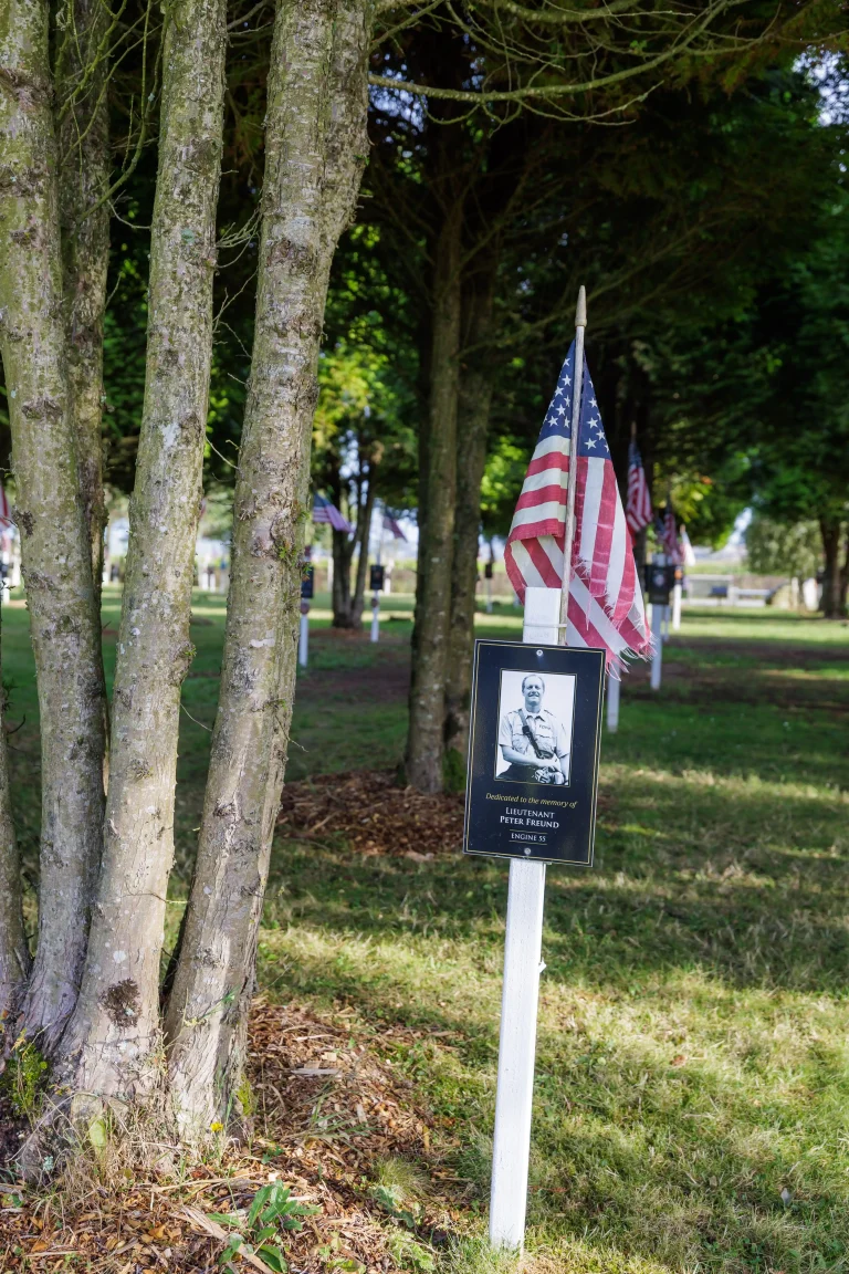 Photo of Peter Freund's tree in Ringfinnan Garden of Remembrance