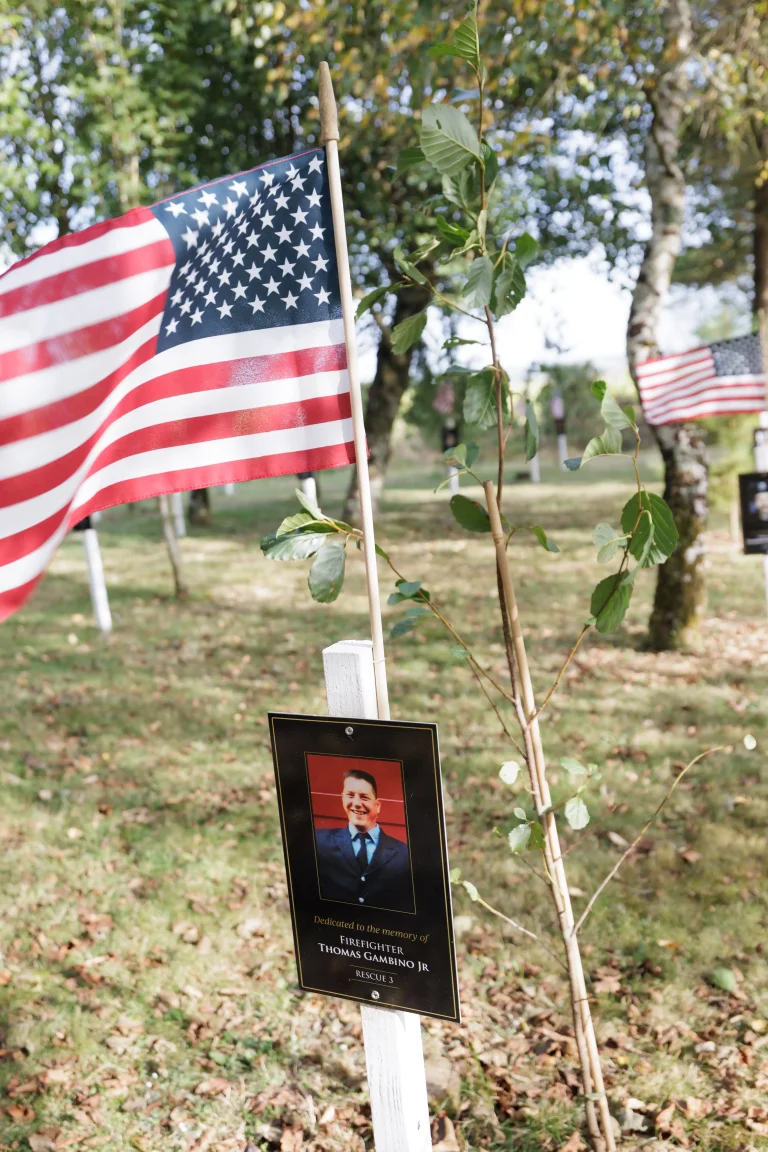 Photo of Thomas Gambino Jr's tree in Ringfinnan Garden of Remembrance