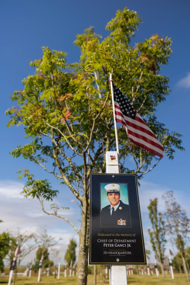 Photo of Peter Ganci Jr's tree in Ringfinnan Garden of Remembrance