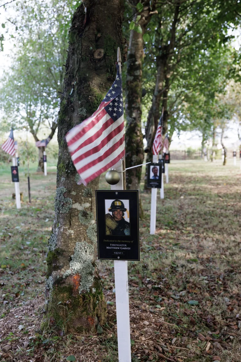 Photo of Matthew Garvey's tree in Ringfinnan Garden of Remembrance
