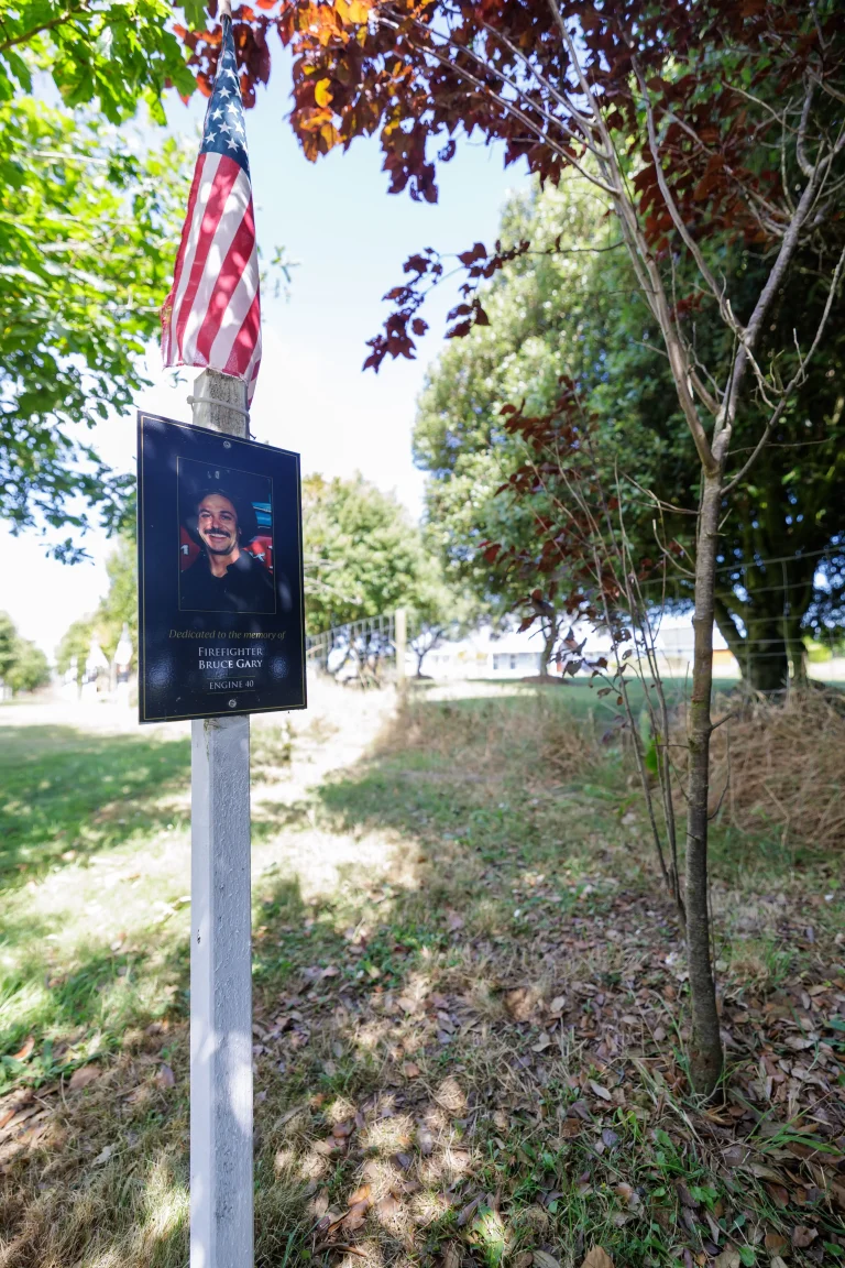 Photo of Bruce Gary's tree in Ringfinnan Garden of Remembrance