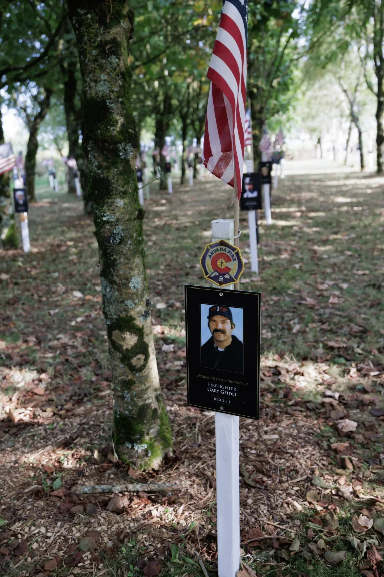 Photo of Gary Geidel's tree in Ringfinnan Garden of Remembrance