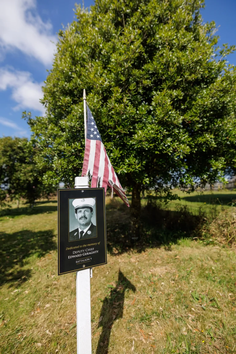 Photo of Edward Geraghty's tree in Ringfinnan Garden of Remembrance