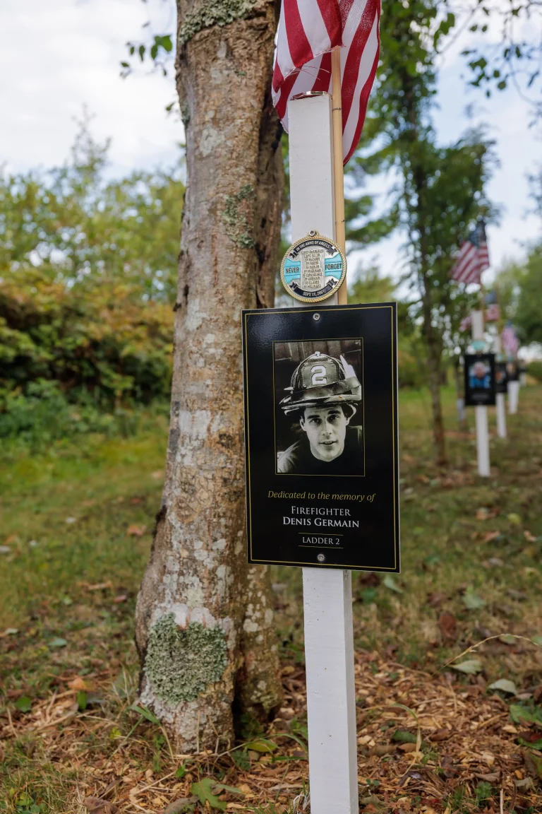 Photo of Denis Germain's tree in Ringfinnan Garden of Remembrance