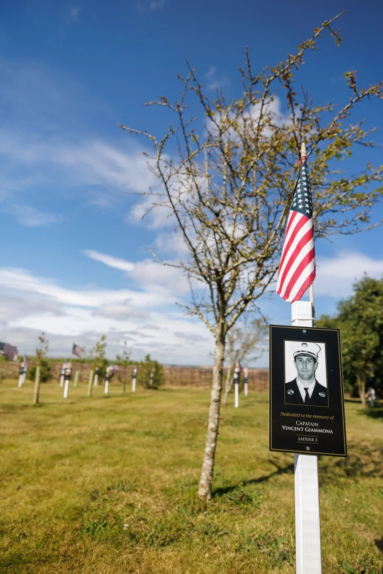 Photo of Vincent Giammona's tree in Ringfinnan Garden of Remembrance