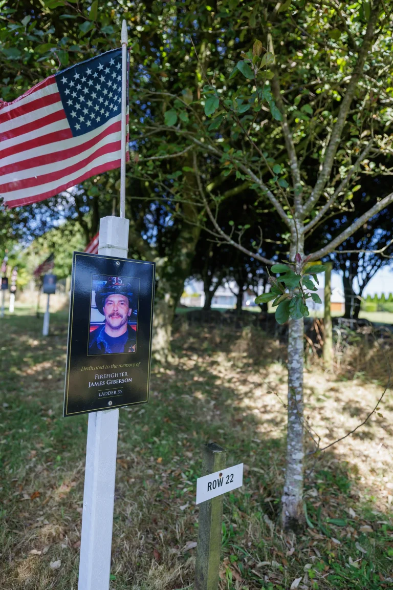 Photo of James Giberson's tree in Ringfinnan Garden of Remembrance
