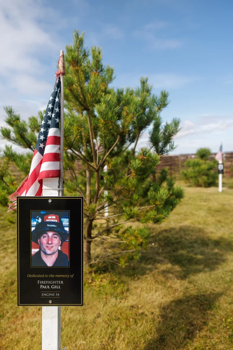 Photo of Paul Gill's tree in Ringfinnan Garden of Remembrance